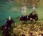 Buceo (subacquea)